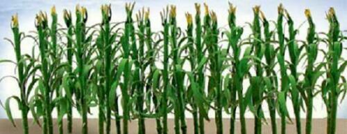Jtt 95552 corn - jtt,